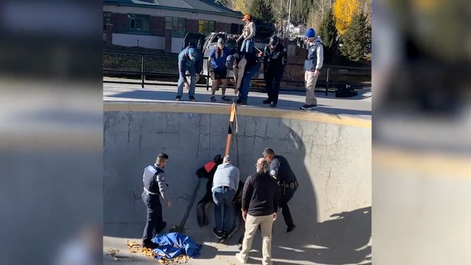 Teams work together to hoist the sedated baby moose out of the skate bowl.